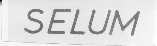 SELUM