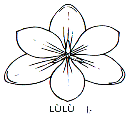 LÅ®LÅ®