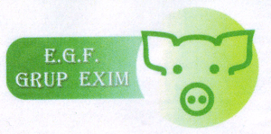 E.G.F. GRUP EXIM