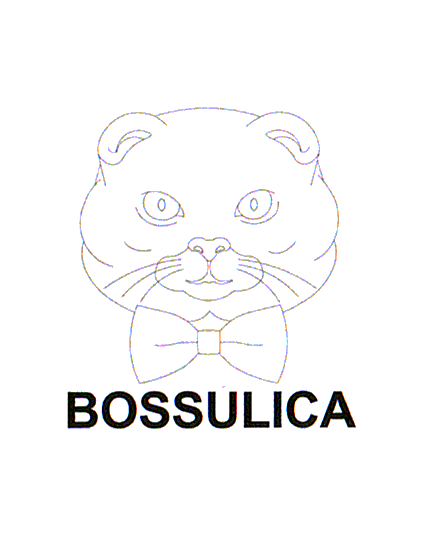 BOSSULICA