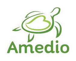 Amedio