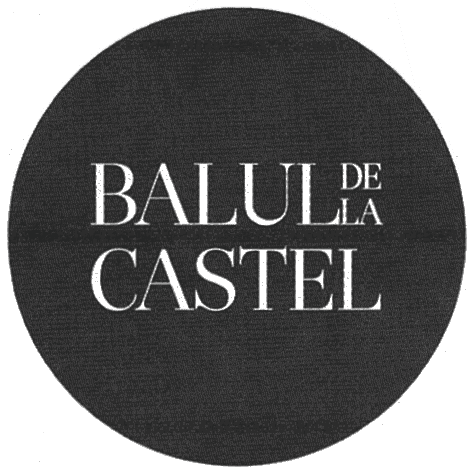 BALUL DE LA CASTEL