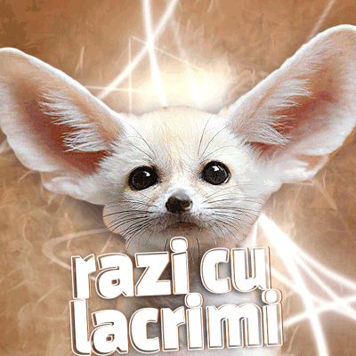 razi cu lacrimi