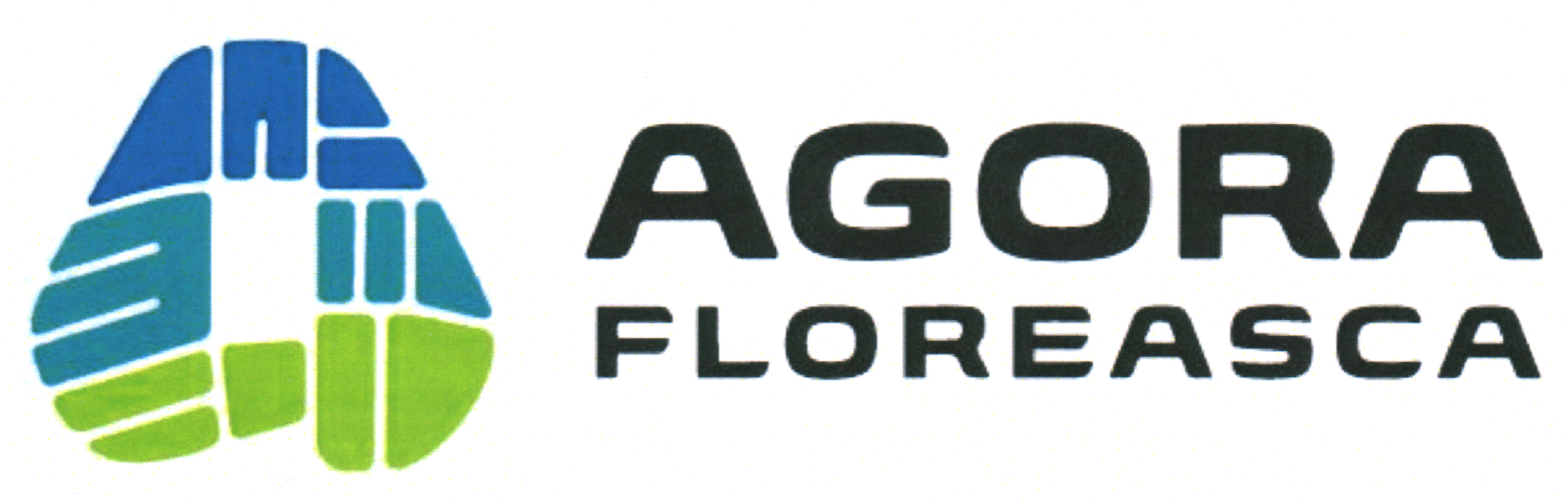 AGORA FLOREASCA