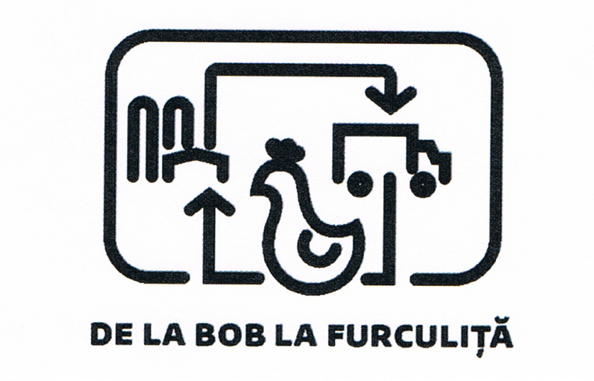 DE LA BOB LA FURCULIŢĂ