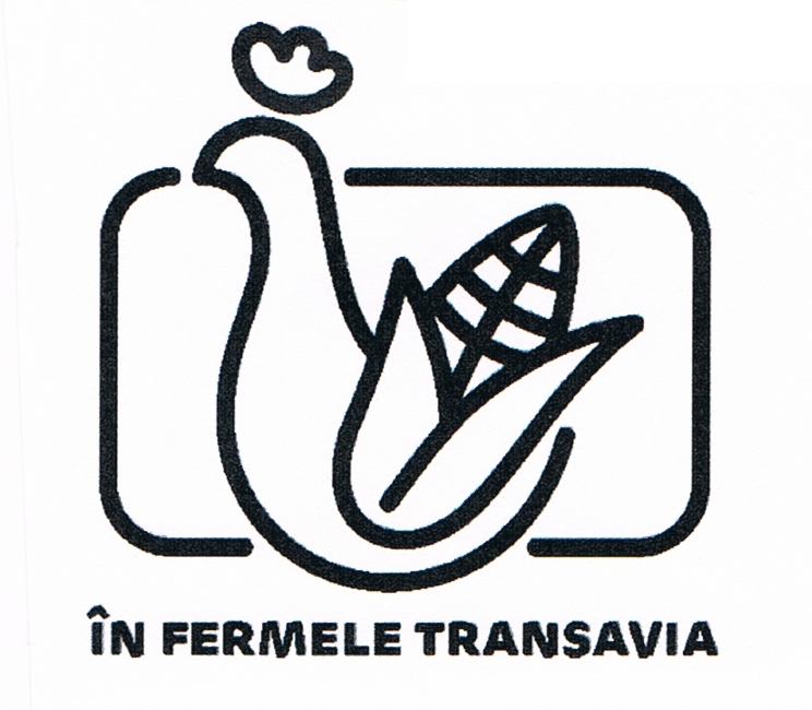 ÎN FERMELE TRANSAVIA