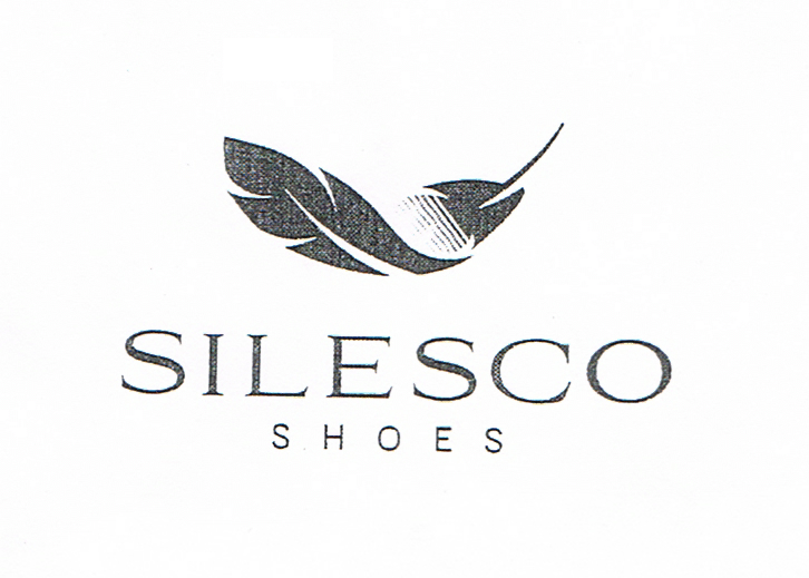 SILESCO SHOES