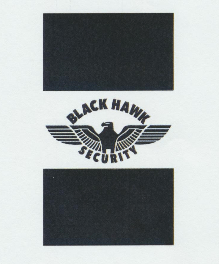 BLACK HAWK SECURITY