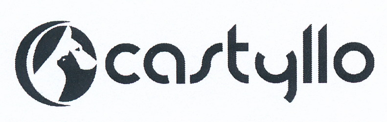 castyllo