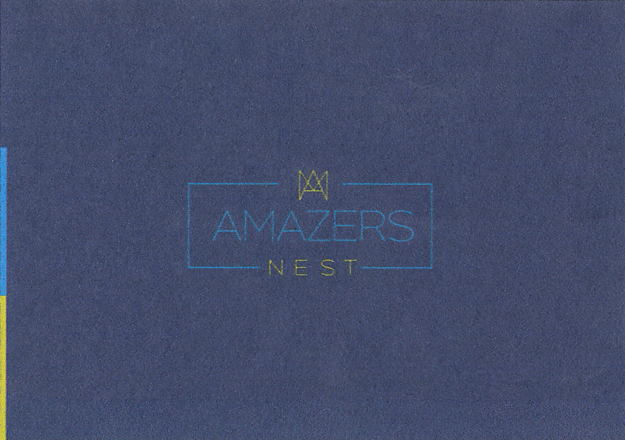 AMAZERS NEST