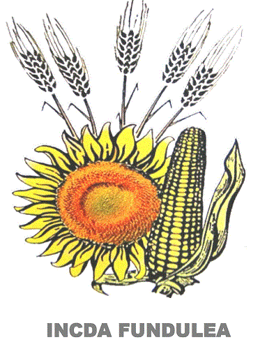 INCDA FUNDULEA