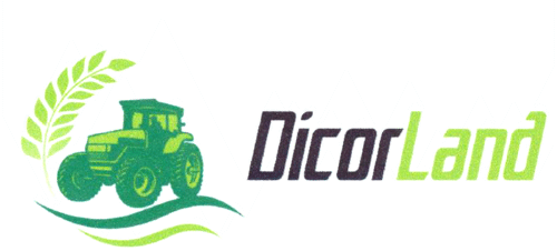 DicorLand