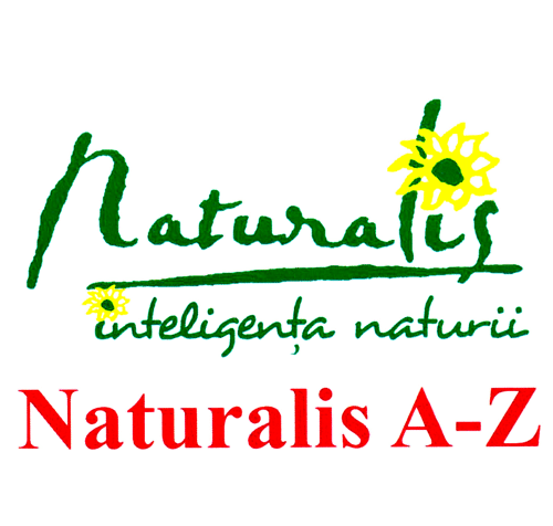 naturalis inteligenţa naturii Naturalis A-Z