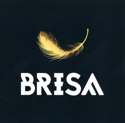 BRISA