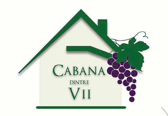 CABANA DINTRE VII