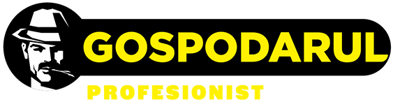 GOSPODARUL PROFESIONIST