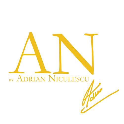 AN BY ADRIAN NICULESCU