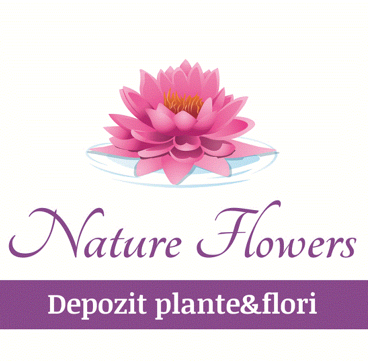 Nature Flowers Depozit plante&flori