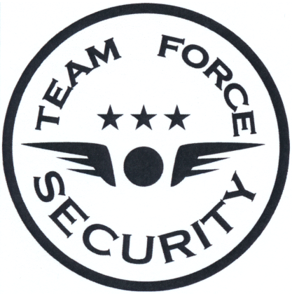 TEAM FORCE SECURITY