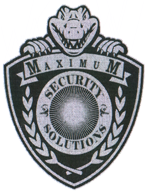 MAXIMUM SECURITY SOLUTIONS