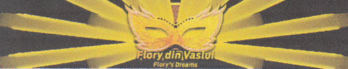 Flory din Vaslui Flory's Dreams