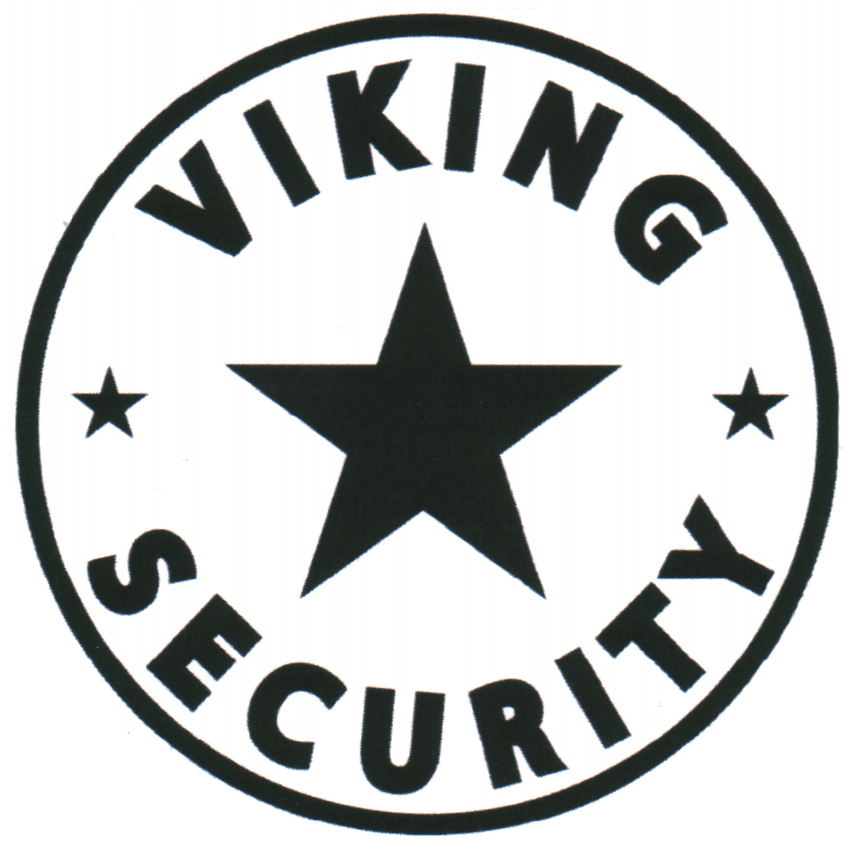 VIKING SECURITY