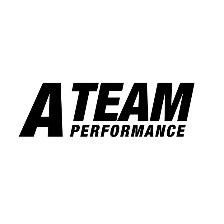 A TEAM PERFORMANCE