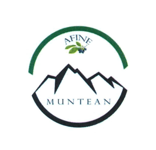 AFINE MUNTEAN