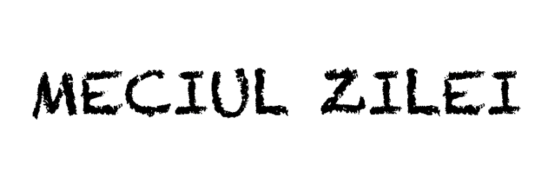 MECIUL ZILEI