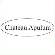 Chateau Apulum