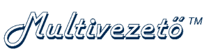Multivezeto