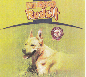 NIEGO Rudolf