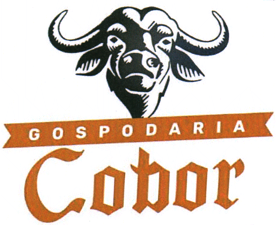 GOSPODARIA Cobor