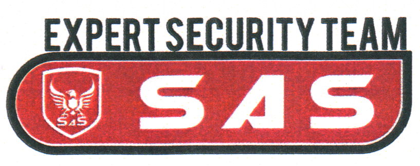 EXPERT SECURITY TEAM SAS