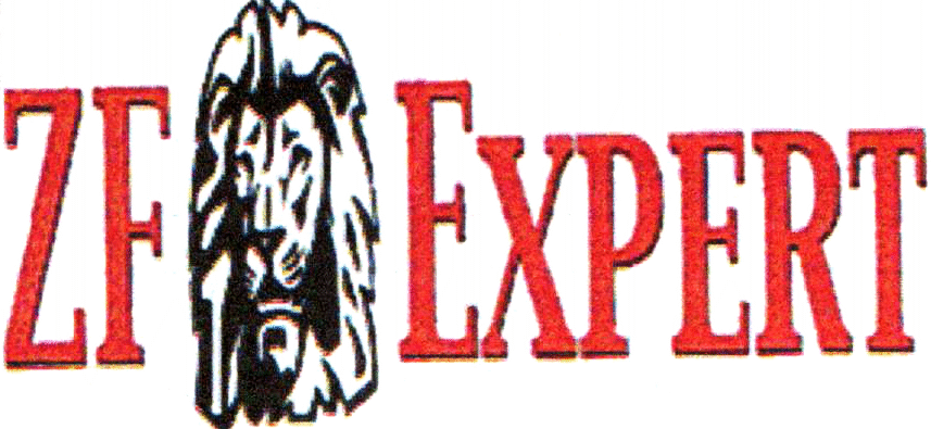ZF EXPERT