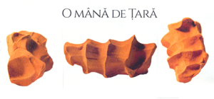 O MÂNĂ DE ŢARĂ