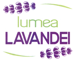 lumea LAVANDEI