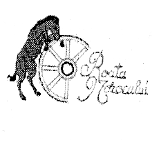 ROATA NOROCULUI