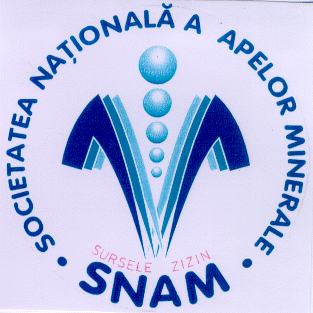 SNAM SURSELE ZIZIN