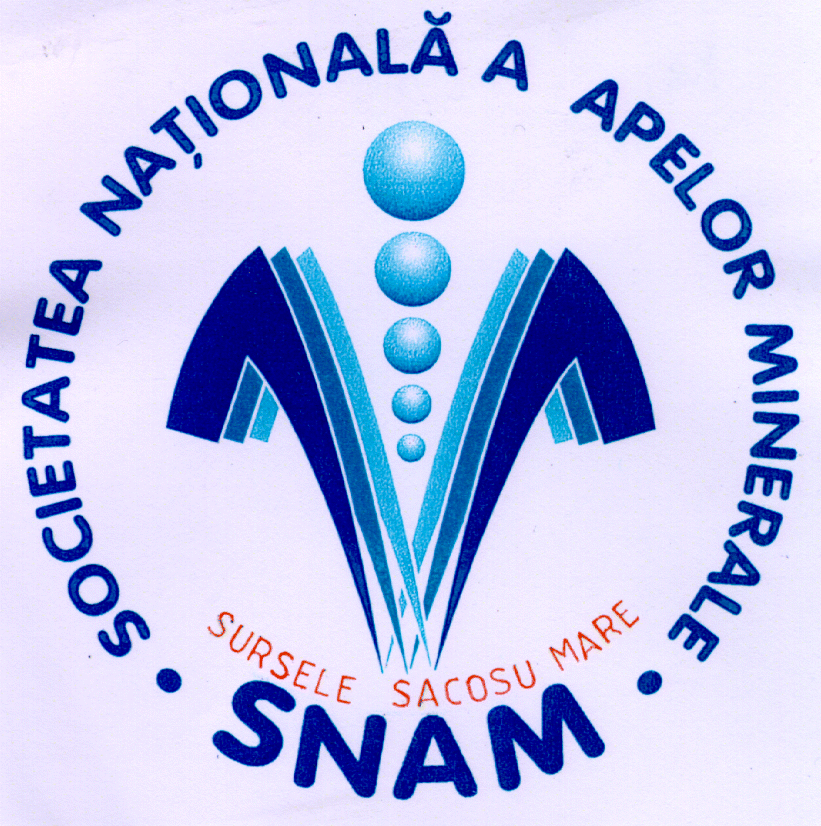 SNAM SURSELE SACOSU MARE