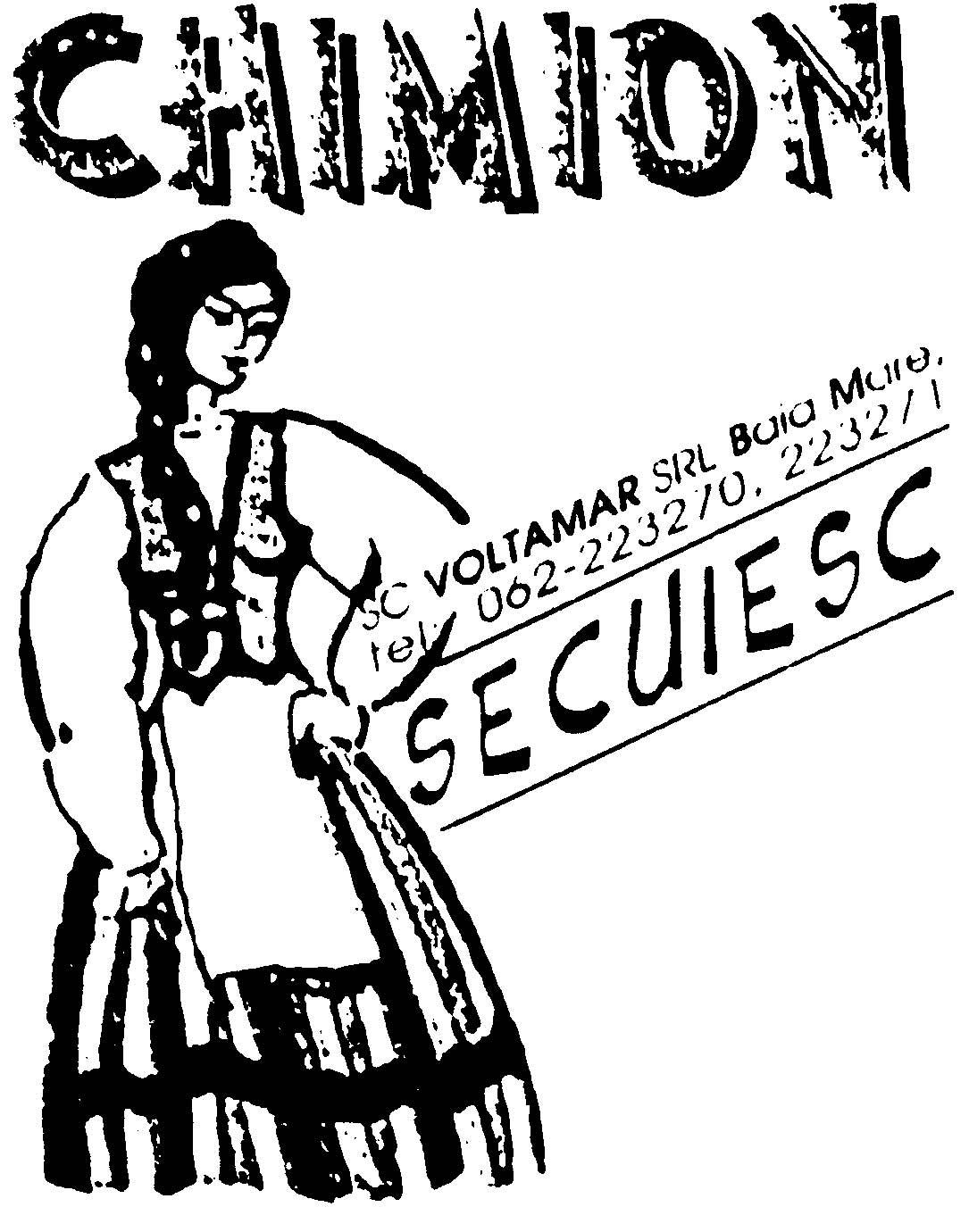 CHIMION SECUIESC