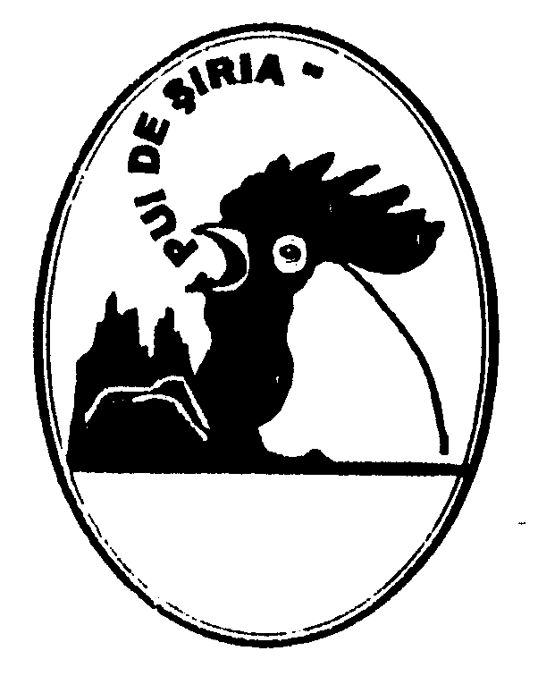 PUI DE ŞIRIA