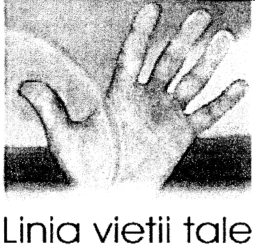 LINIA VIETII TALE