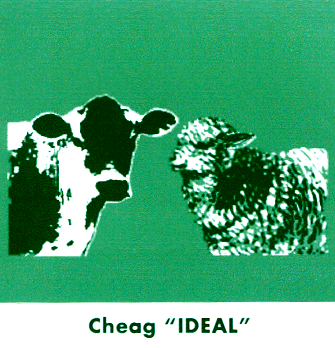 CHEAG IDEAL