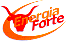 ENERGIA FORTE