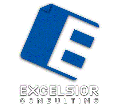 E EXCELSIOR CONSULTING