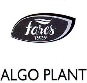 fares 1929 ALGO PLANT