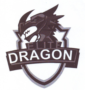ELITE DRAGON