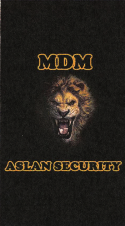 MDM ASLAN SECURITY