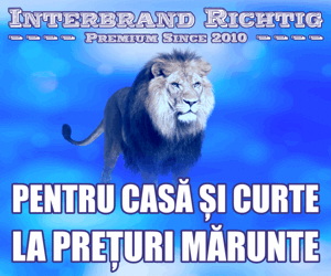 INTERBRAND RICHTIG PREMIUM SINCE 2010 PENTRU CASĂ ȘI CURTE LA PREȚURI MĂRUNTE